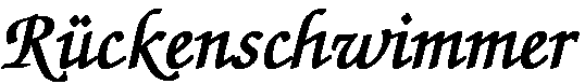 MS Rückenschwimmer - Schriftzug